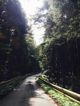 ドライブ ドライブの写真