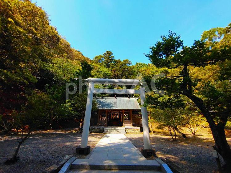 写真素材：千葉県 安房神社の下の宮 安房神社,下の宮,拝殿の写真素材