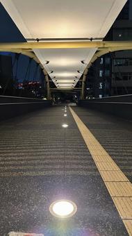 夜の街 夜の街の写真