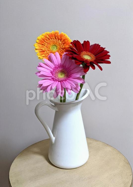 白い花瓶　ピンク　赤　オレンジ 花,花瓶,花びらの写真素材