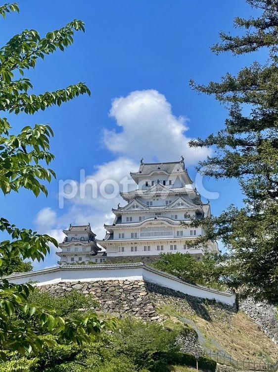 世界文化遺産の姫路城 世界遺産,姫路城,天守閣の写真素材