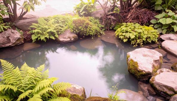 新緑の風景と池 新緑の風景と池の写真