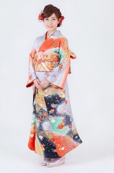 振袖を着た女性 振袖を着た女性 晴れ着,成人の日,成人の写真素材