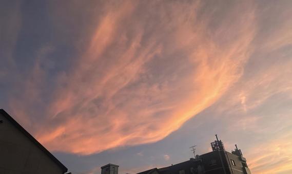 夏空 夏空 夕方,夕暮れ,夕暮れ雲の写真素材