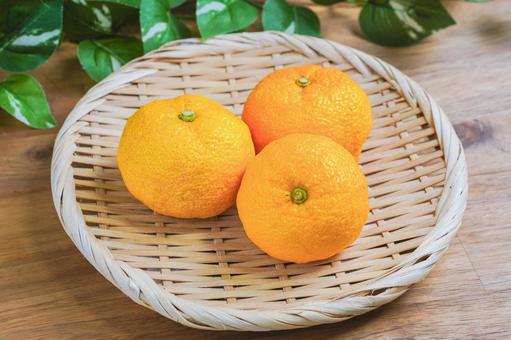 ゆず 柚子,冬至,柚子湯の写真素材