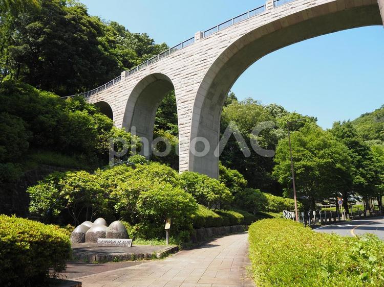 夏の七沢森林公園・森のかけはし（厚木市） 夏,七沢森林公園,森のかけはしの写真素材