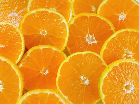 オレンジ　みかんの写真
