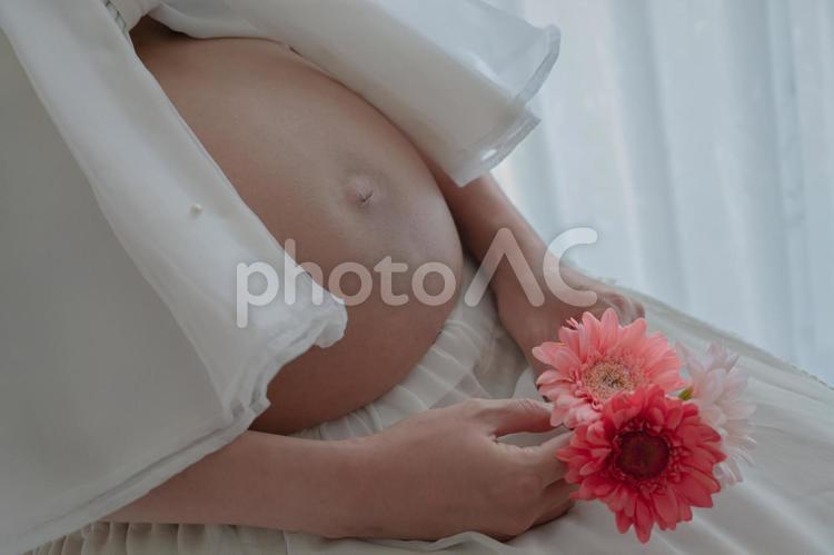 明るい雰囲気のマタニティフォト(その１０) 妊婦,妊娠,花の写真素材