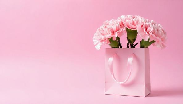 母の日 カーネーション プレゼント 母の日 カーネーション プレゼント の写真
