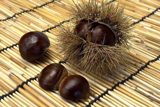 イガ栗 植物,果物,栗イガの写真素材