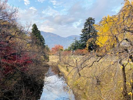 川辺の紅葉 川辺の紅葉の写真