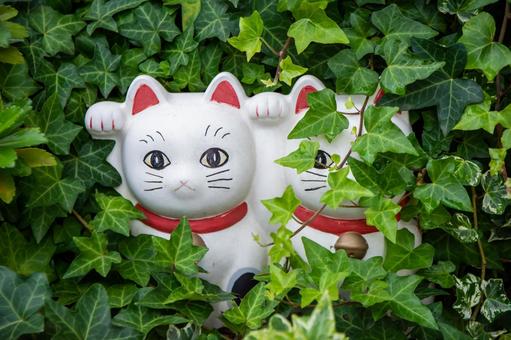 招き猫 招き猫,縁結び,幸運の写真素材