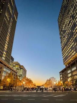 ロマンチックな丸の内 ロマンチックな丸の内 東京,東京駅,丸の内の写真素材