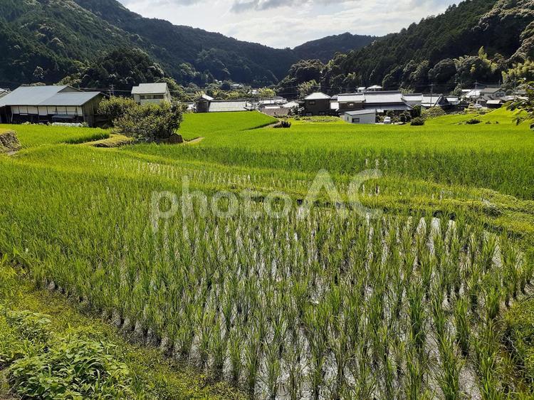 里山の風景 里山,田舎,空の写真素材