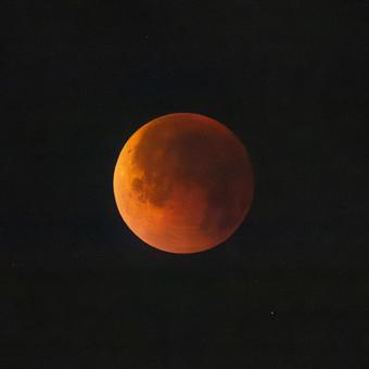 皆既月食(2025年9月8日) 皆既月食(2025年9月8日)の写真