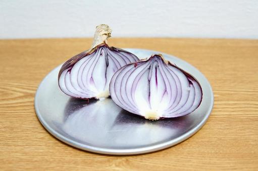 紫玉葱(引き) 紫玉葱(引き)の写真