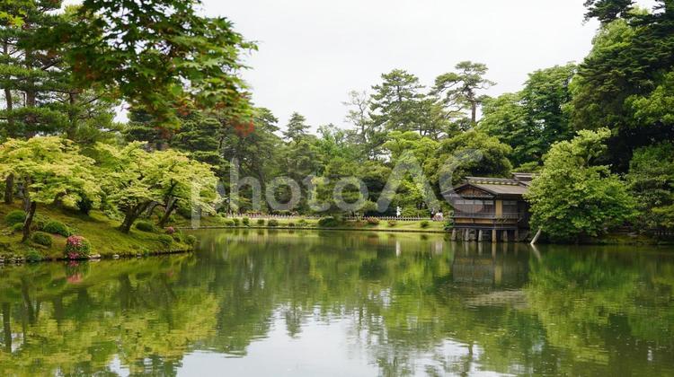 兼六園の風景 石川県,金澤,兼六園の写真素材