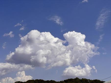 【空の写真】秋空 【空の写真】秋空 秋空,空,雲の写真素材