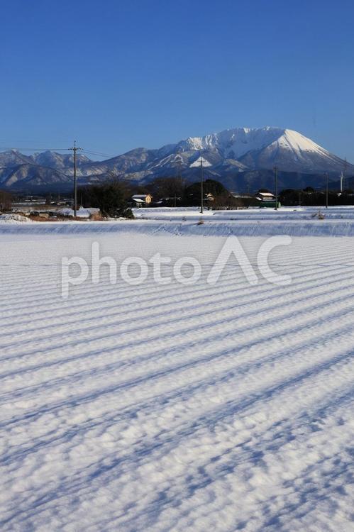 雪の大山と田園風景　１３ 畑,大山,山の写真素材