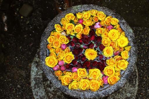 バラの花手水 バラの花手水の写真