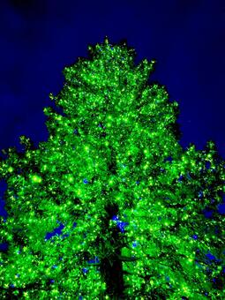 イルミネーション イルミネーション,電飾,光の写真素材