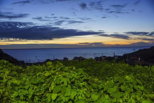 黄昏の海辺、緑と街の灯り 自然,風景,海の写真素材