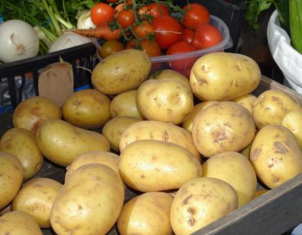 色とりどりの野菜とじゃがいも 1 色とりどりの野菜とじゃがいも 1の写真