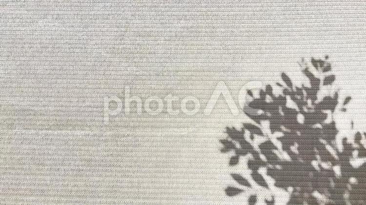 日除けシートに映る木々の影模様 日除け,影,植物の写真素材