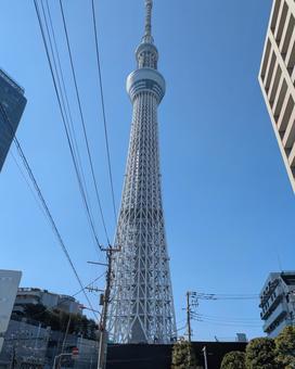 東京スカイツリー 東京スカイツリー 東京スカイツリー,スカイツリー,大きいの写真素材