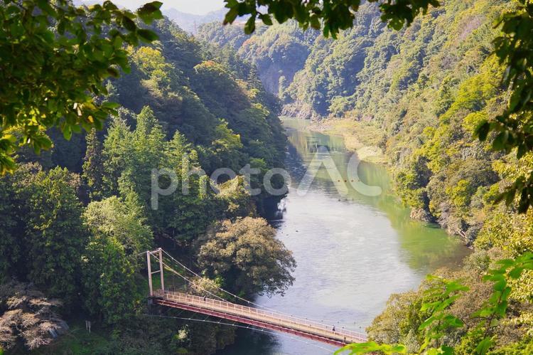 美しい風景 橋,風景,川の写真素材