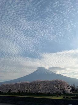 天翔ける冠 天翔ける冠の写真