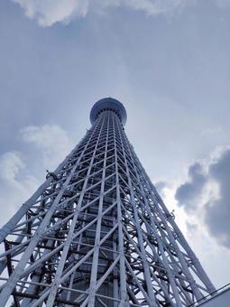 東京スカイツリー 東京スカイツリー スカイツリー,東京,墨田区の写真素材