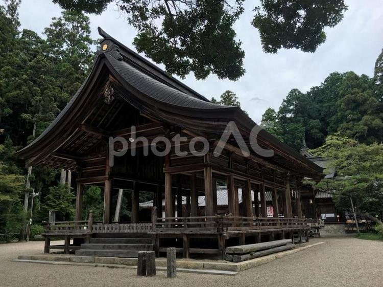 猿投神社　さなげじんじゃ　拝殿　猿投山 猿投神社,さなげじんじゃ,拝殿の写真素材