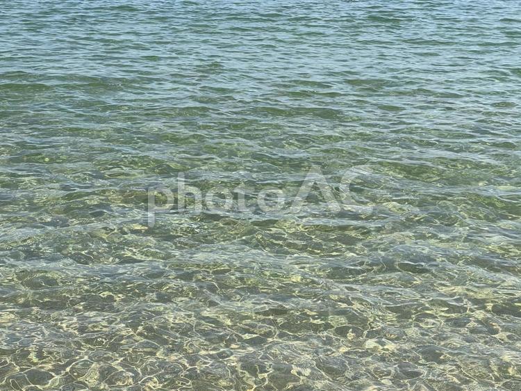 夏の透き通った海 海,夏,暑いの写真素材