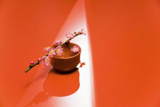 梅の花22 梅の花,紅梅,ぐい飲みの写真素材