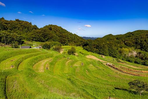 千葉県 青空を背景にした棚田 千葉県 青空を背景にした棚田 大山千枚田,青空,棚田の写真素材