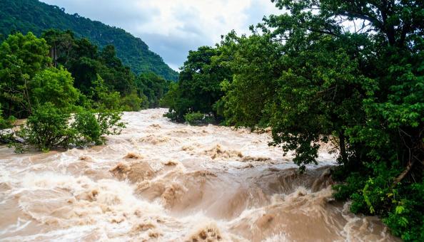 濁流 大雨の後の川 濁流 大雨の後の川の写真