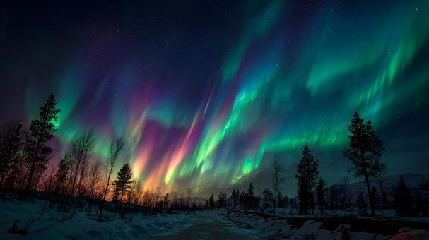 幻想的な光が踊る冬の夜の風景 幻想的な光が踊る冬の夜の風景の写真