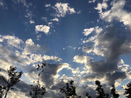 夕暮れ 夕暮れの写真