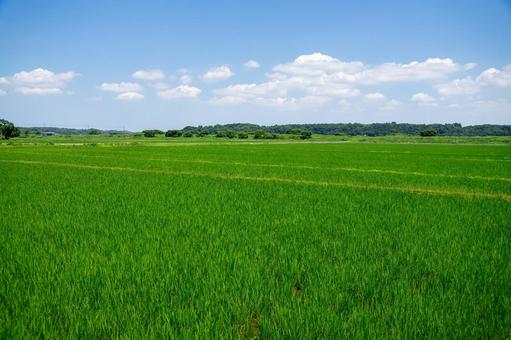 田園風景 田園風景,田舎,田舎暮らしの写真素材