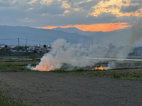 Photo, field burn, bank, natural, 