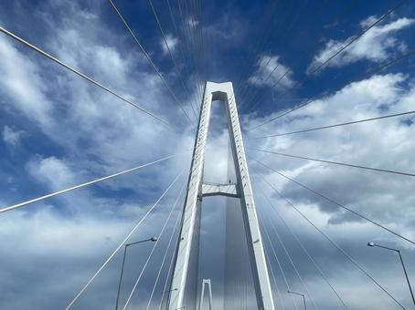 名港中央大橋の写真