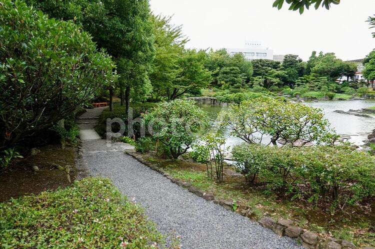 旧安田庭園 旧安田庭園,安田庭園,両国の写真素材