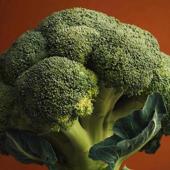 美味しそうなブロッコリーの写真