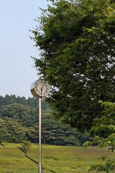 Tree and clock, clock, natural, the scenery, JPG