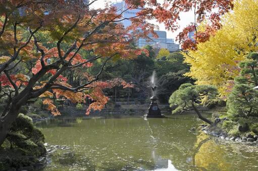日比谷公園.紅葉 秋,紅葉,景色の写真素材