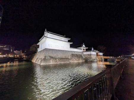 駿府城公園 駿府城公園 夜,背景,風景の写真素材