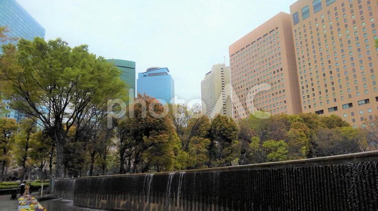 新宿中央公園から見た高層ビル１ 背景,東京,新宿の写真素材