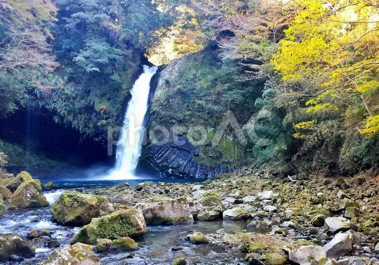中秋の浄蓮の滝と清流２０２４ 瀑布,浄蓮の滝,滝の写真素材