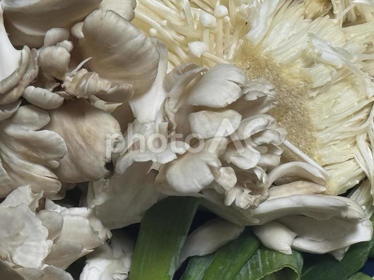 野菜ときのこ 野菜,美味しい,ランチの写真素材